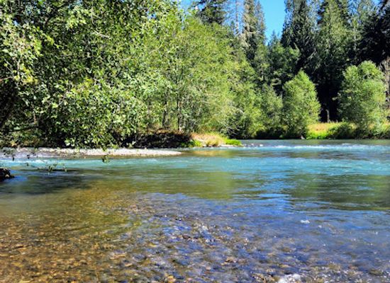 washington/mount-rainier-area/attraction/nisqually-state-park