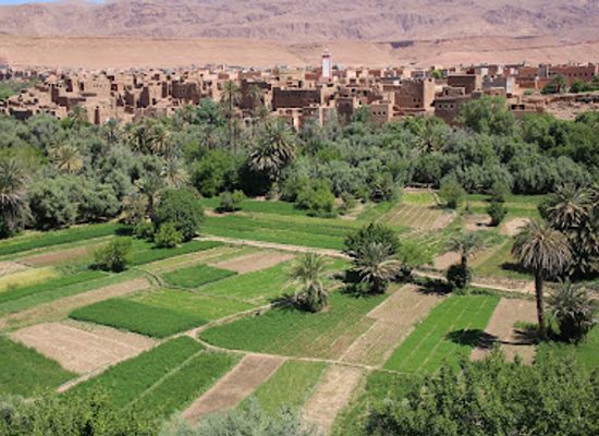 morocco/sahara-desert/attraction/desert-tour-in-morocco