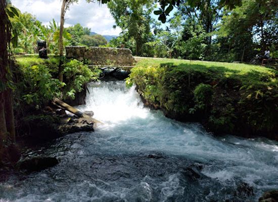 jamaica/cornwall-county/attraction/roaring-river-and-cave