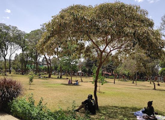 kenya/nakuru/attraction/nyayo-gardens-park