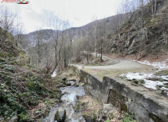 romania/hunedoara/attraction/cascada-mierlei