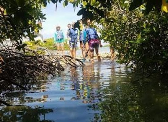 aruba/fontein-cave/attraction/clear-kayak-aruba