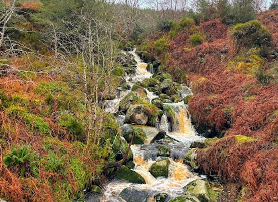 ireland/county-wicklow/attraction/glencree-waterfall