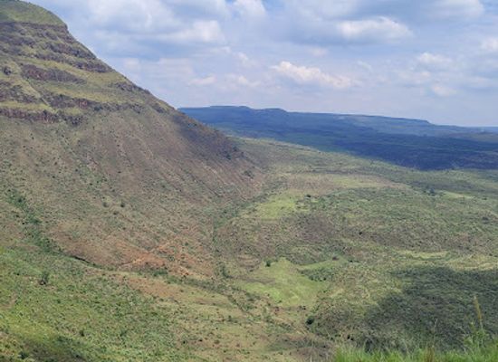 kenya/lake-nakuru-national-park/attraction/menengai-crater-forest
