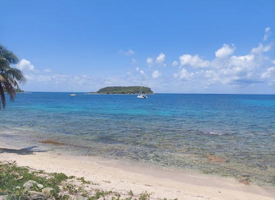 puerto-rico/vieques-island/attraction/playa-la-esperanza