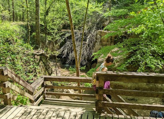mississippi/the-natchez-district/attraction/clark-creek-natural-area