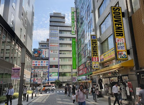 japan/tokyo/akihabara/attraction/akihabara-park