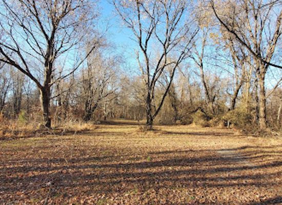 tennessee/hatchie-river-area/attraction/drummonds-park