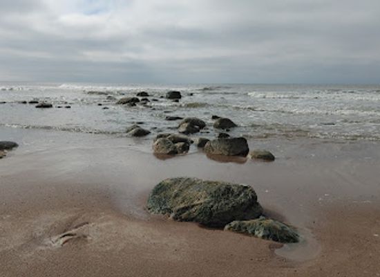 lithuania/palanga-beach/attraction/gelbetoju-bokstelis-auska