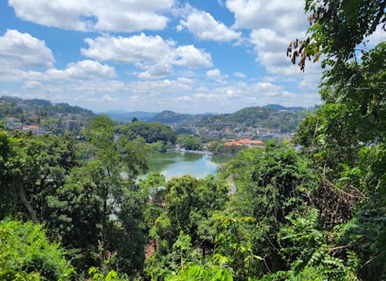 sri-lanka/kegalle-district/attraction/udawatta-kele-sanctuary