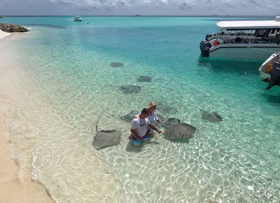maldives/dhaalu-atoll/attraction/stingray-observation-point