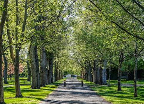 idaho/nampa/attraction/julia-davis-park