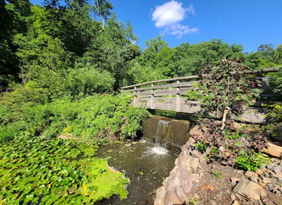 new-jersey/piedmont/attraction/leonard-j-buck-garden