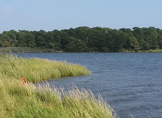 massachusetts/cape-cod/attraction/swan-pond-boardwalk