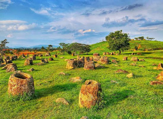 laos/xiangkhoang-province/attraction/canh-dong-chum