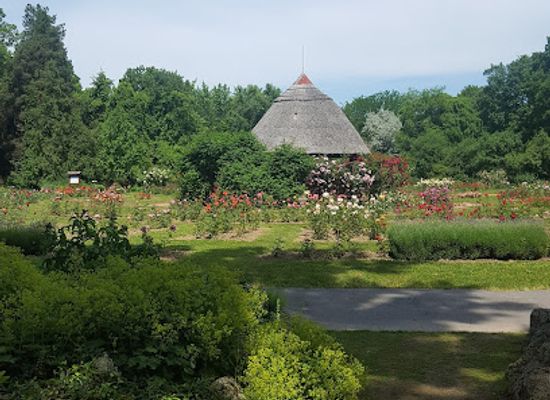 hungary/southern-great-plain/attraction/botanical-garden-of-szeged