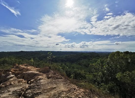 brunei/bukit-shahbandar-recreational-park/attraction/shahbandar-s-tunnel-of-trees