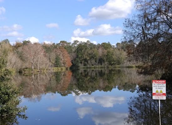 florida/gainesville-area/attraction/uf-bat-houses