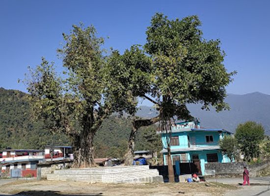 nepal/mustang/attraction/chamere-gufa