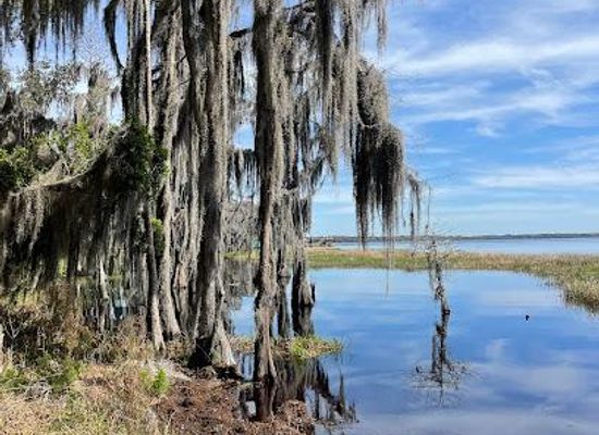 florida/central-florida/attraction/crooked-river-preserve