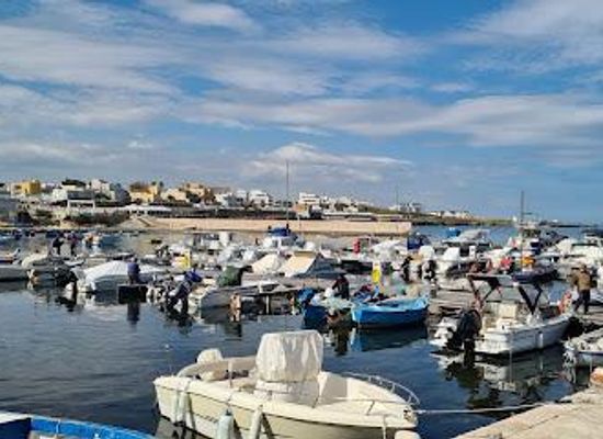 italy/bari/attraction/torre-a-mare