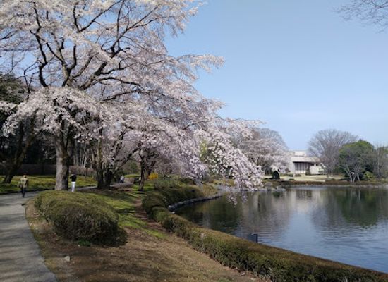 japan/shimotsuke/attraction/central-park-tochigiken