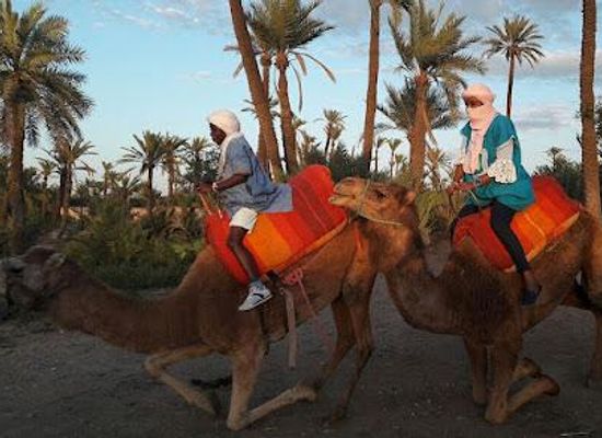 morocco/marrakech/attraction/traces-b-culture-aventure