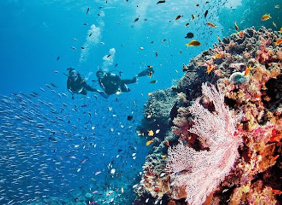 papua-new-guinea/southern-region/attraction/kimbe-bay