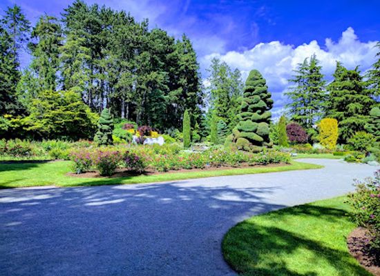 washington/puget-sound/attraction/woodland-park-rose-garden