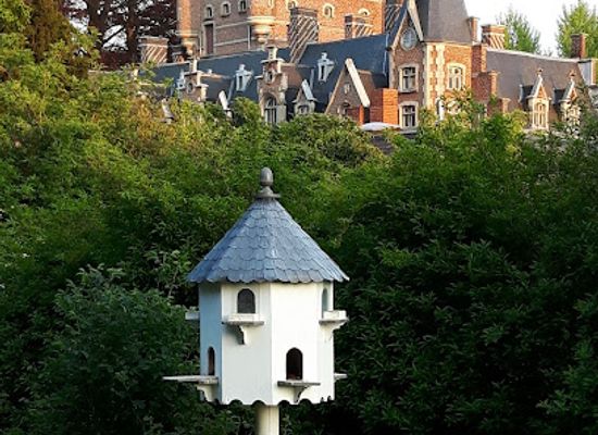 belgium/hainaut/attraction/chateau-de-louvignies