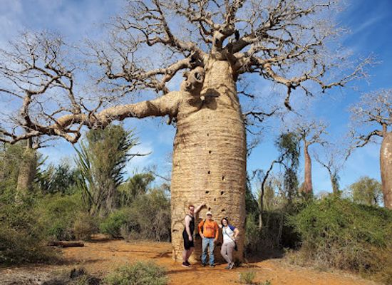madagascar/atsimo-andrefana/attraction/reserve-reniala