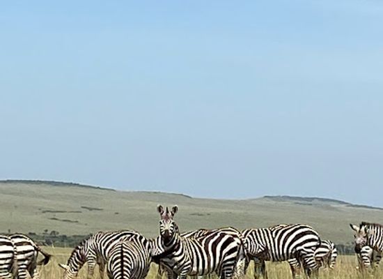kenya/maasai-mara/attraction/lookout-hill