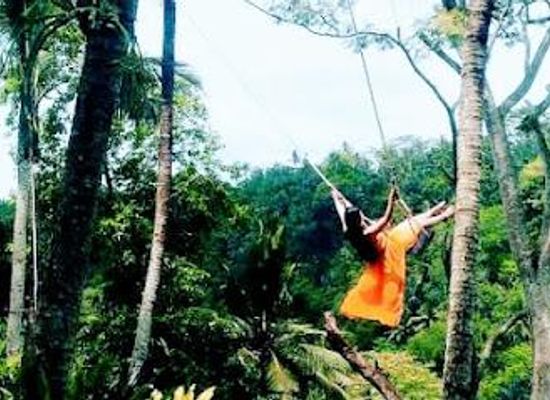 indonesia/bali/attraction/bali-private-driver