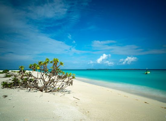 maldives/haa-dhaalu-atoll/attraction/alidhoo-finolhu