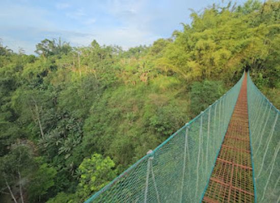 philippines/northern-mindanao/attraction/kampojuan-eco-adventure-farm