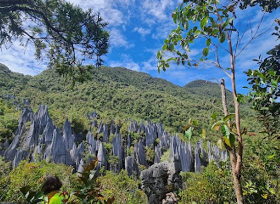 malaysia/mulu-national-park/attraction/pinnacles