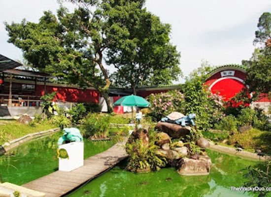 singapore/sembawang/attraction/live-turtle-museum-singapore