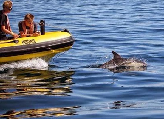 portugal/faro/attraction/dream-wave-algarve-dolphin-watching-caves-boat-tours-jet-ski-and-power-boat