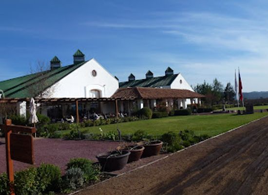 chile/valparaiso-region/attraction/winery-casas-del-bosque