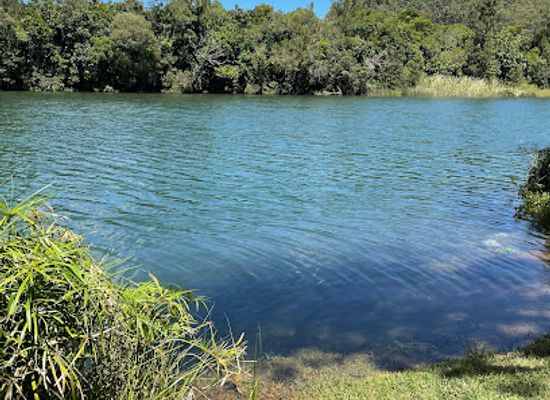 new-caledonia/canala/attraction/parc-fayard