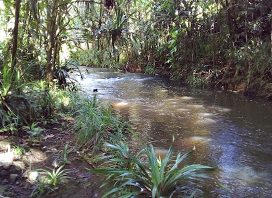 palau/ngardmau/attraction/mesekelat-waterfalls