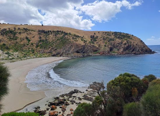 australia/kangaroo-island/attraction/western-river-cove