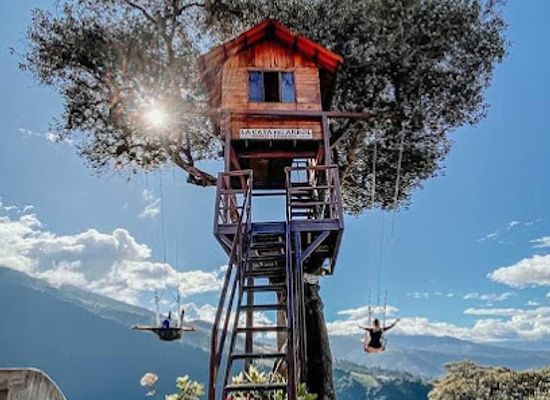 ecuador/highland-valleys/attraction/explorjungle-tours-en-chiva-laundry-service-nicole-pailon-del-diablo-mano-de-dios-casa-del-arbol-tours-nocturnos