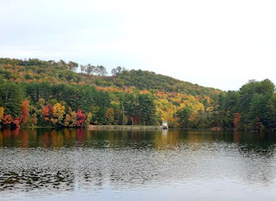 connecticut/litchfield-county/attraction/stillwater-pond-state-park