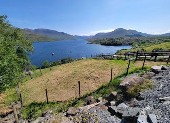 ireland/county-galway/attraction/killary-sheep-farm