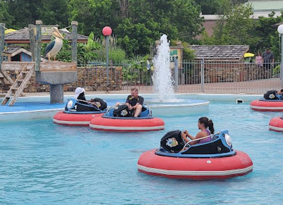 tennessee/dollywood/attraction/the-track-pigeon-forge