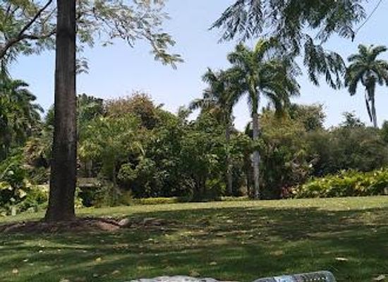 jamaica/port-antonio/attraction/hope-botanical-gardens