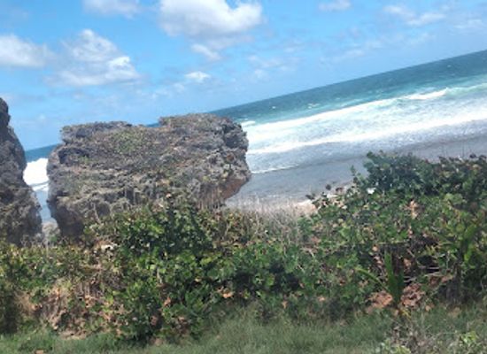 barbados/bathsheba/attraction/bathsheba-park