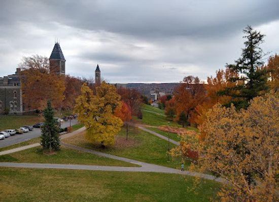 new-york/ithaca/collegetown/attraction/herbert-f-johnson-museum-of-art