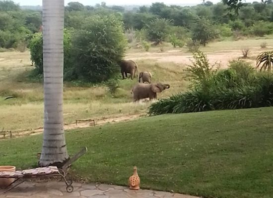 zimbabwe/mana-pools-national-park/attraction/chirundu-estates
